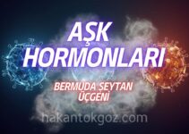 Aşk Hormonları ve Aşkın Biyolojik Kökleri Üzerine